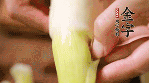 茭白剝?nèi)ネ鈿?，先切片再切絲。