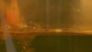 雞肉、鹽、料酒入冷水鍋水開(kāi)后撇去浮沫，溫水洗凈。