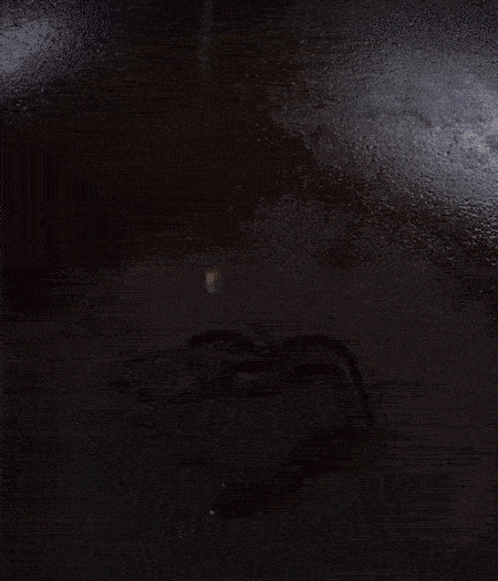 冷鍋熱油，下蒜片爆香，下香腸、玉米筍、蓮藕、西芹爆炒，期間加點水，翻炒1分鐘后加新鮮百合片，翻炒30秒。