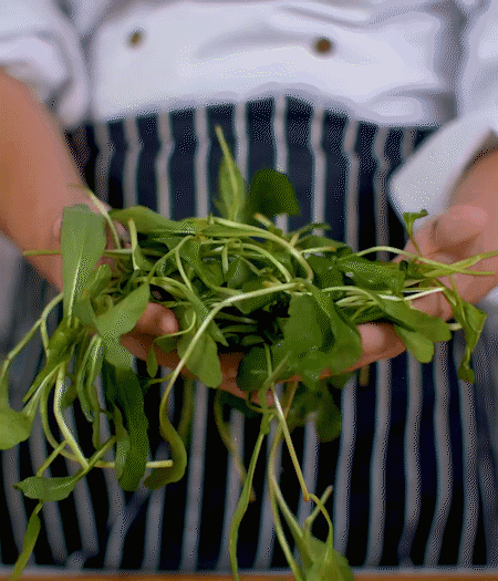 馬蘭頭焯水，切成細(xì)末。