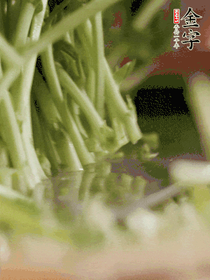 新鮮豌豆苗割下洗凈。